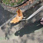*